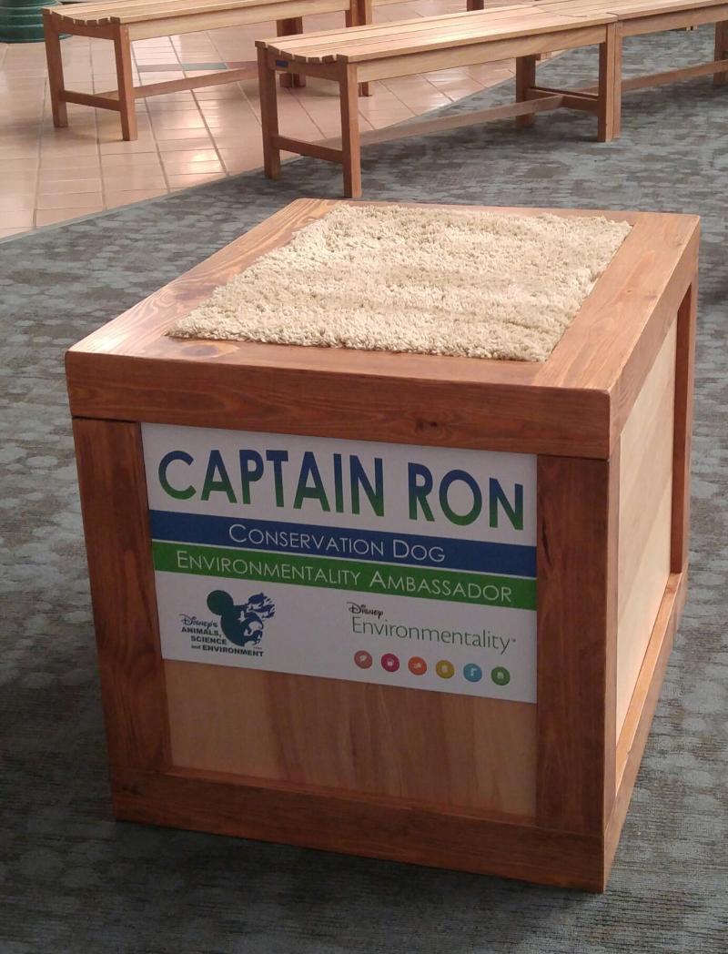 Capt Ron Box for Epcot 2017